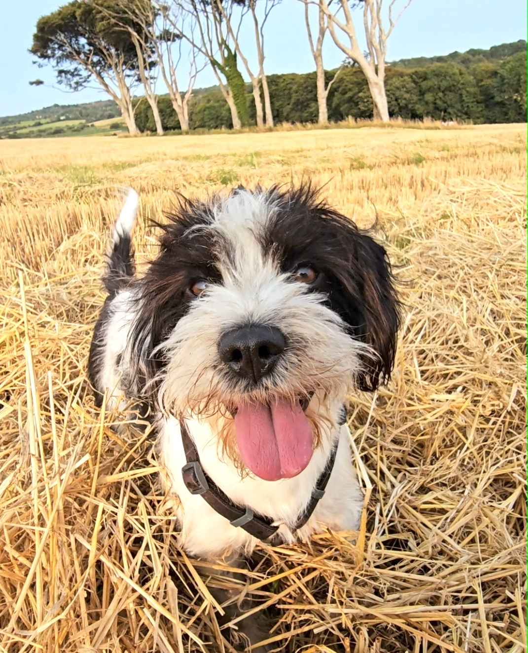 West Pharmaceutical Staff in Waterford make Incredibly Generous Donation